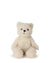 Bon Ton Toys Plush BT CHAPS in Giftbox 7"  Frederick The Traveler Bear in Giftbox 7"