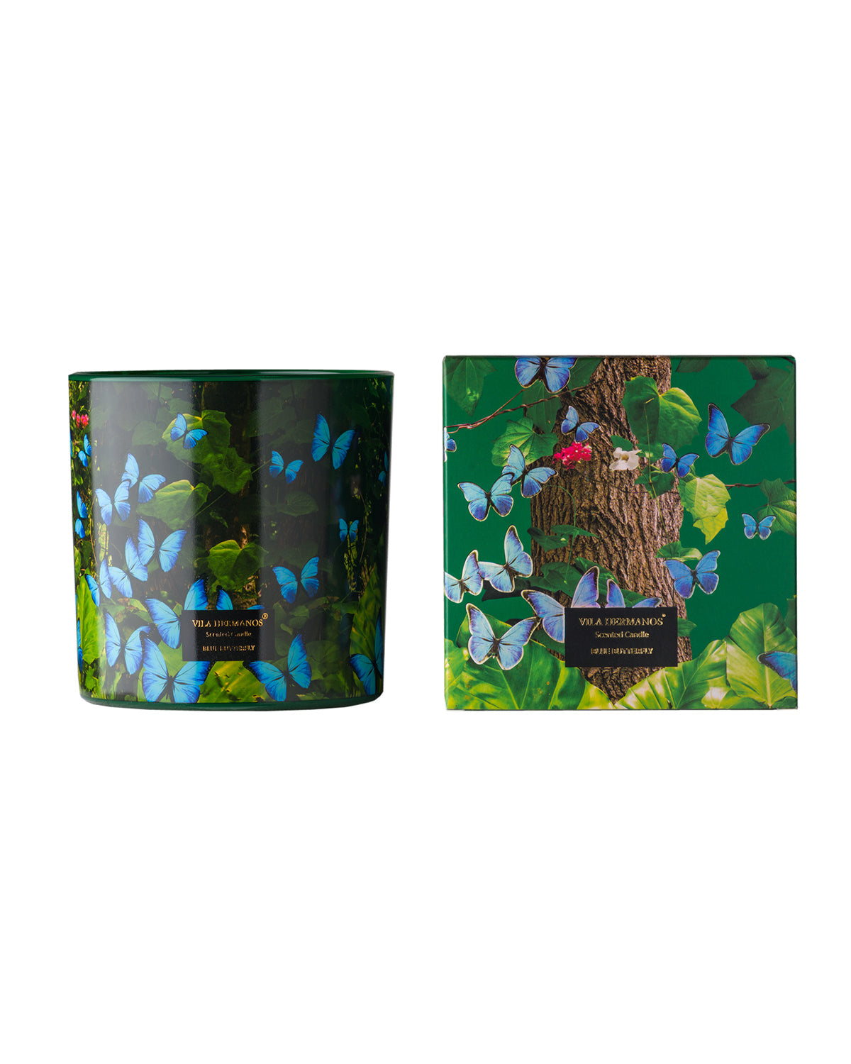 Candle in Jar JUNGLETOPIA 650gr 4.92 diam. X 4.92 in