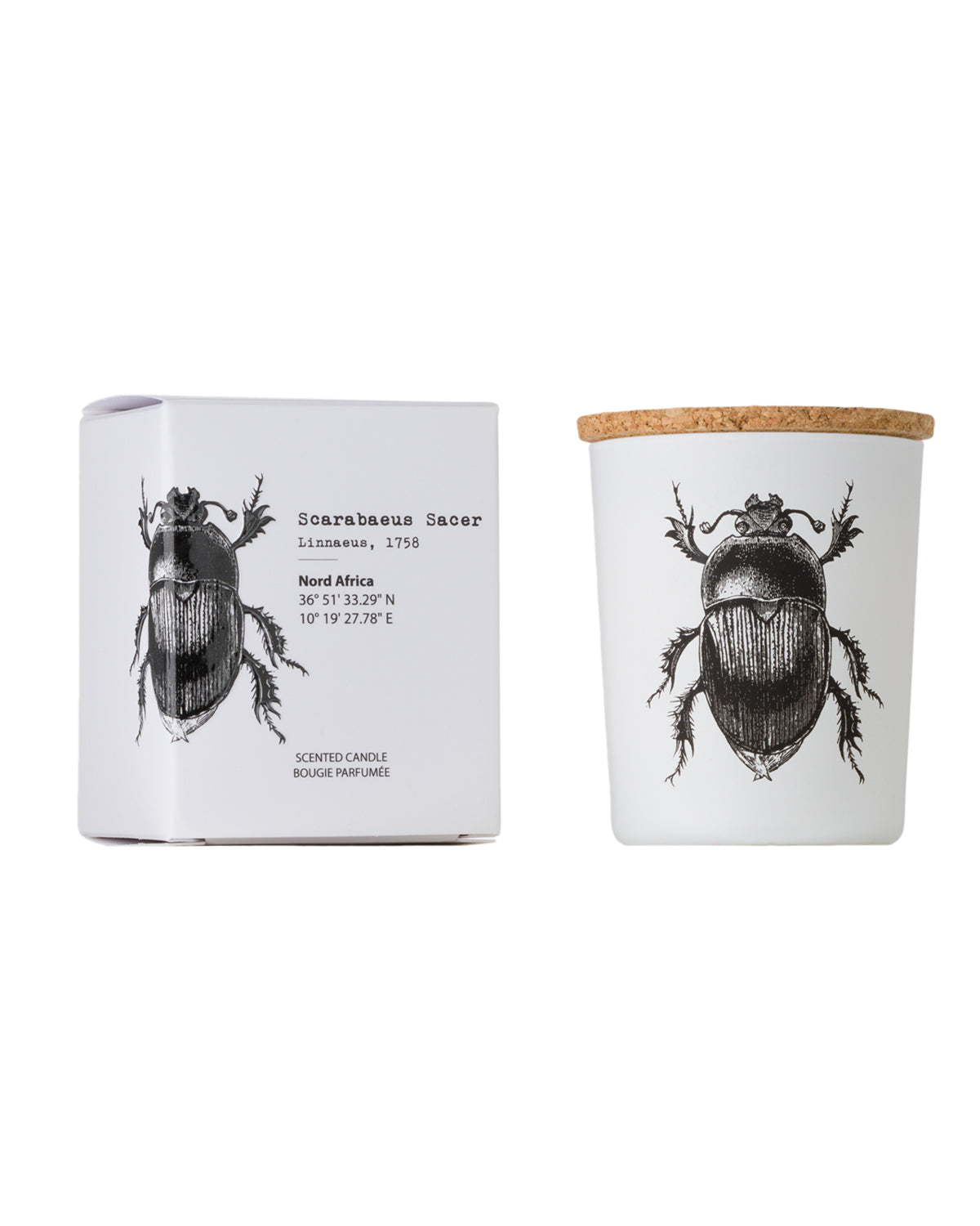 Candle in Jar INSECT 75gr SCARABEUS SACER 2.36 diam. x 2.95 in