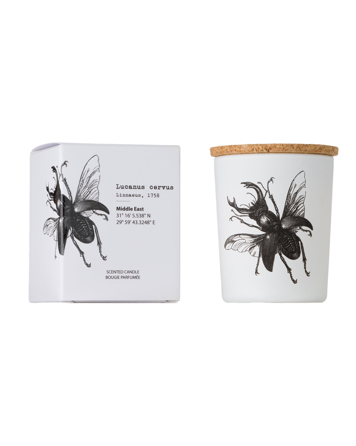 Candle in Jar INSECT 75gr SCARABEUS SACER 2.36 diam. x 2.95 in