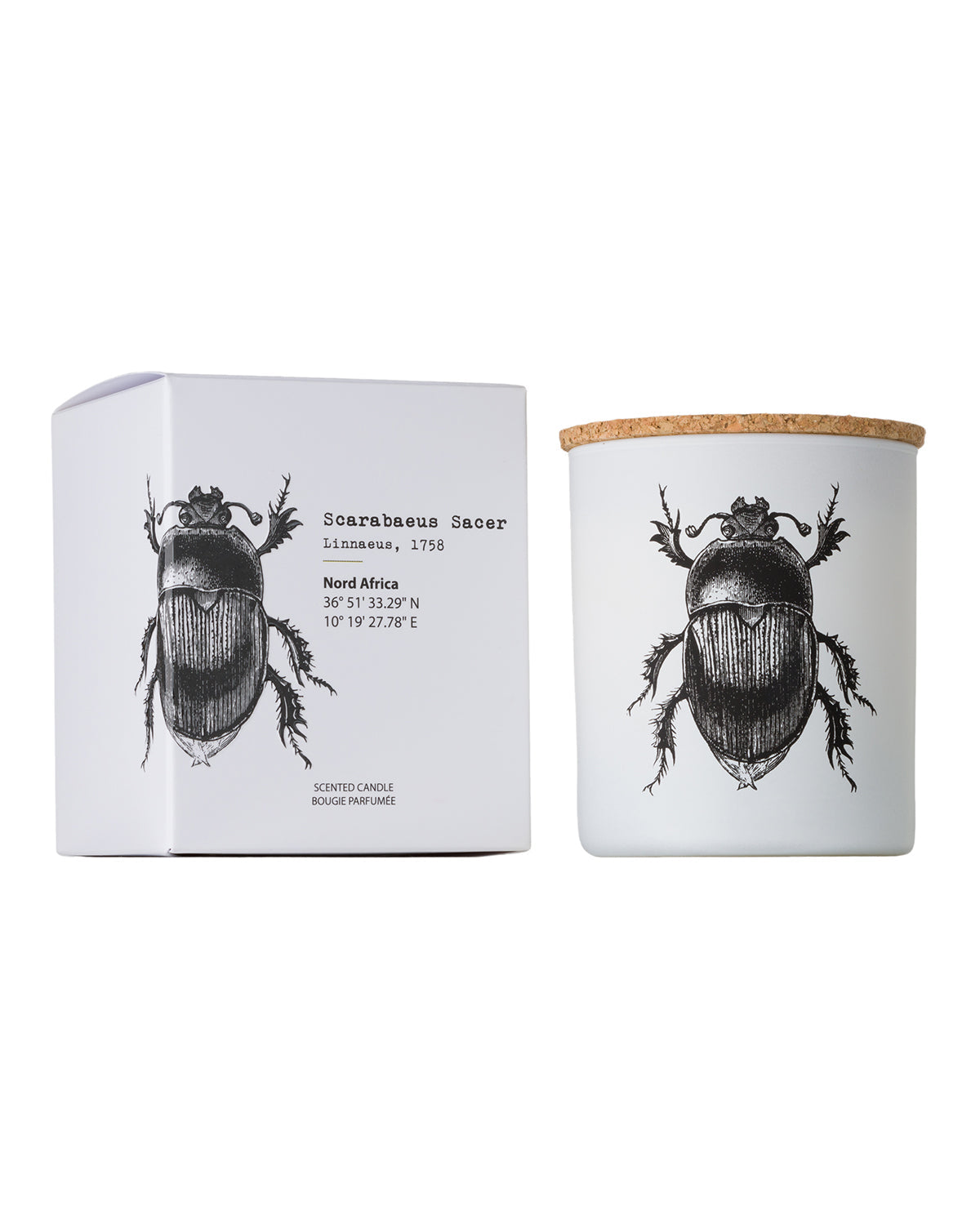 Candle in Jar INSECT 190gr DORYSTHENES WALKERI 3.35 diam. x 4.13 in