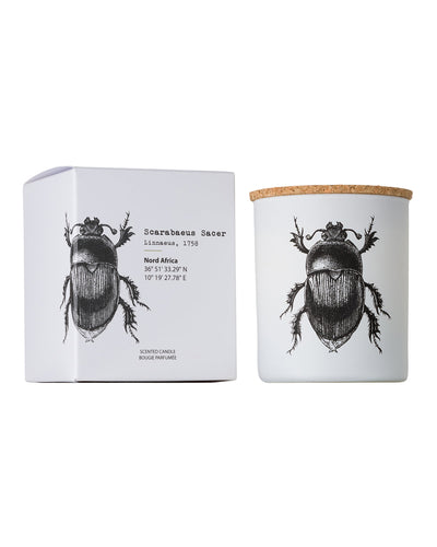 Candle in Jar INSECT Wood Wick 7oz Scarabeus Sacer
