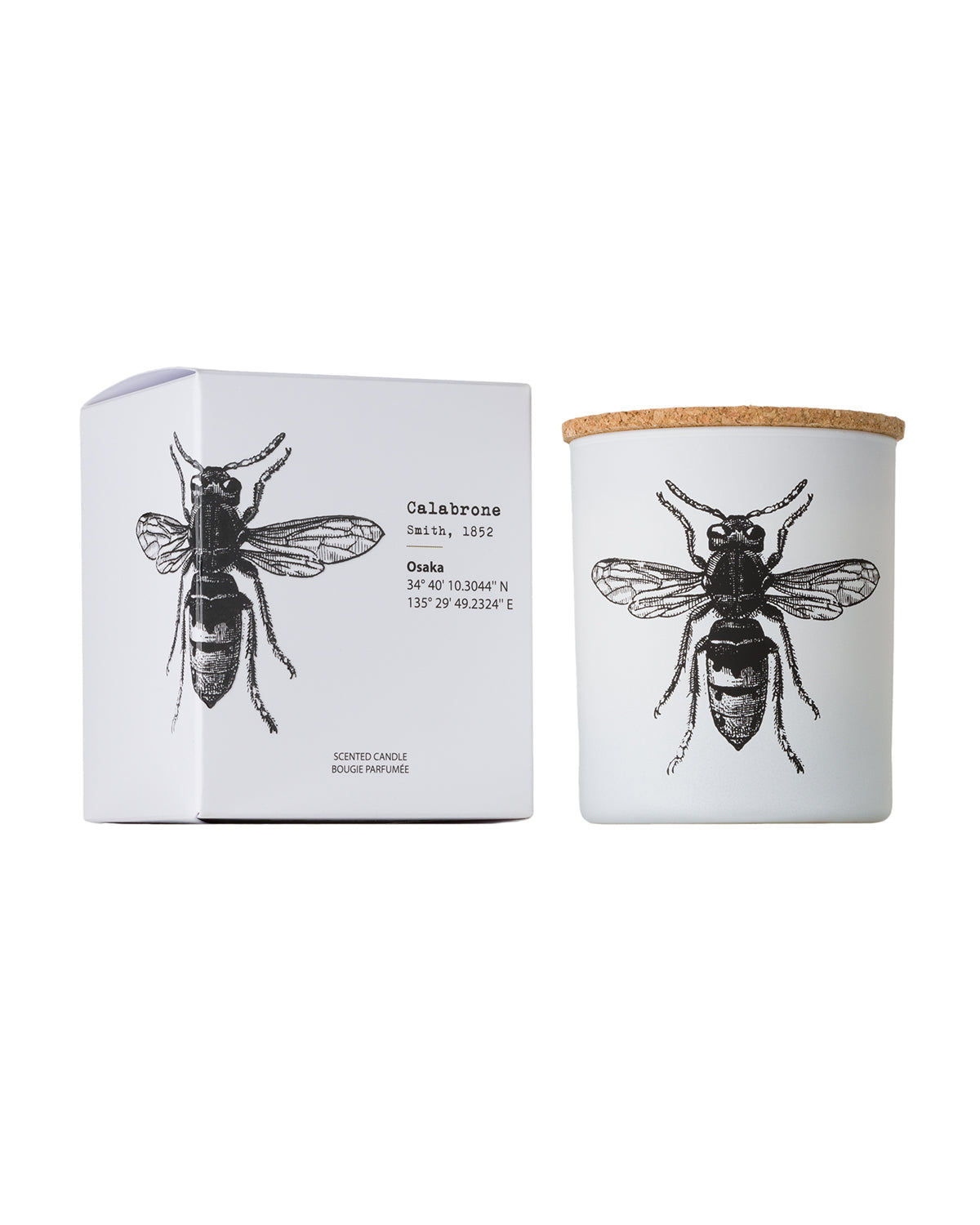 Candle in Jar INSECT 190gr DORYSTHENES WALKERI 3.35 diam. x 4.13 in