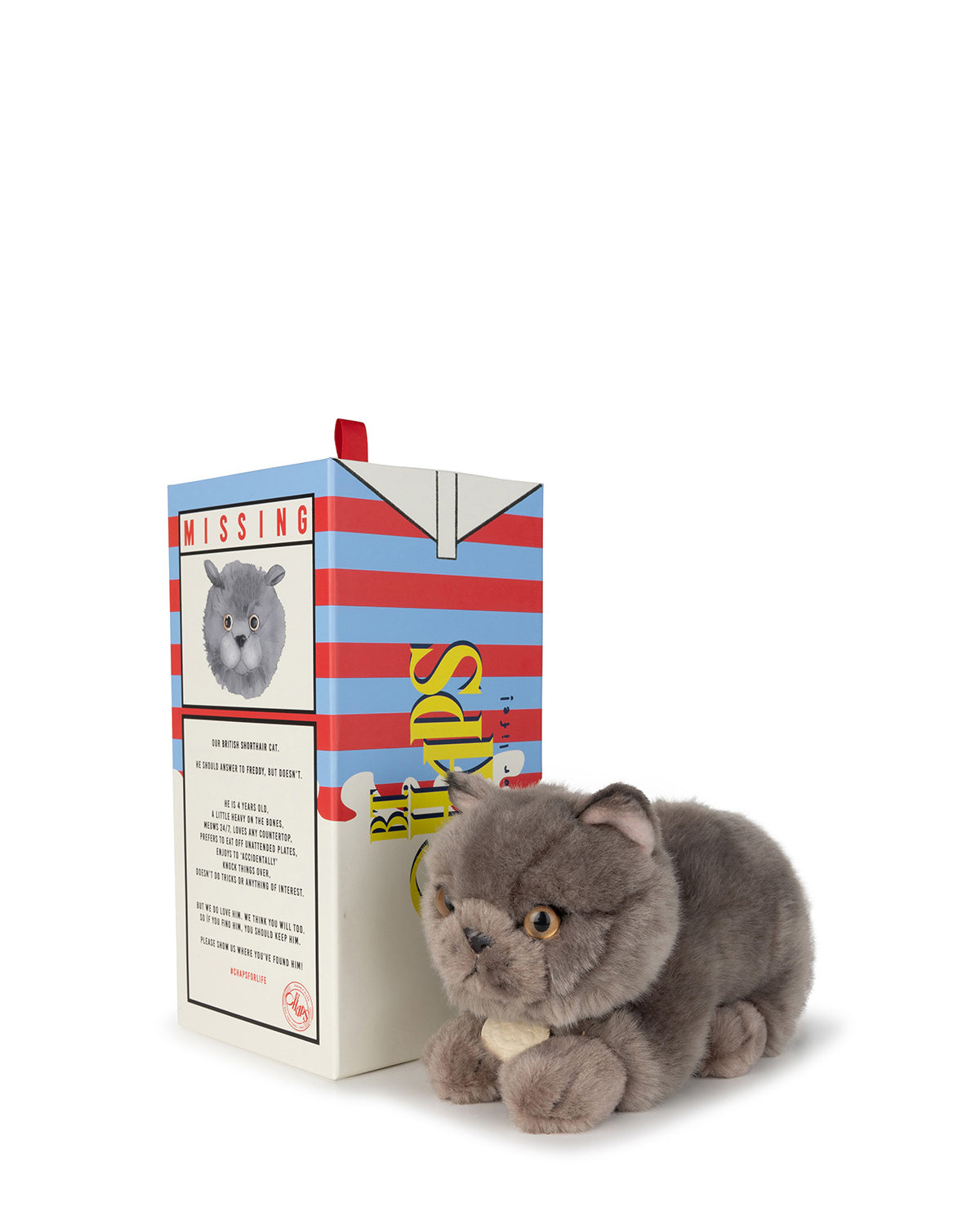 Bon Ton Toys Plush BT CHAPS in Giftbox 8" and 10"  Freddy The British Shorthair in Giftbox 8"