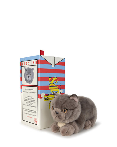 Bon Ton Toys Plush BT CHAPS in Giftbox 8" and 10"  Freddy The British Shorthair in Giftbox 8"