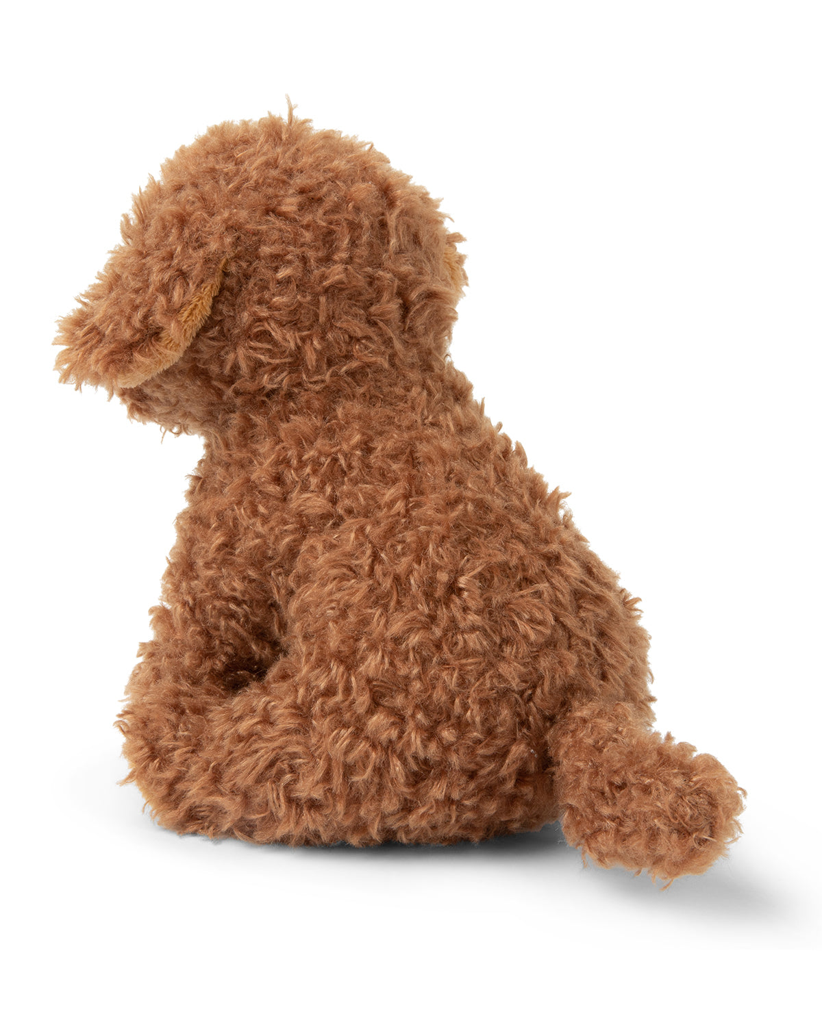 Plush BT CHAPS STACY THE LABRADOODLE in Giftbox 6.5