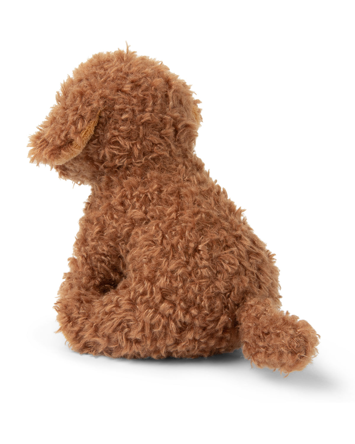 Plush BT CHAPS Stacy the Labradoodle in giftbox 7