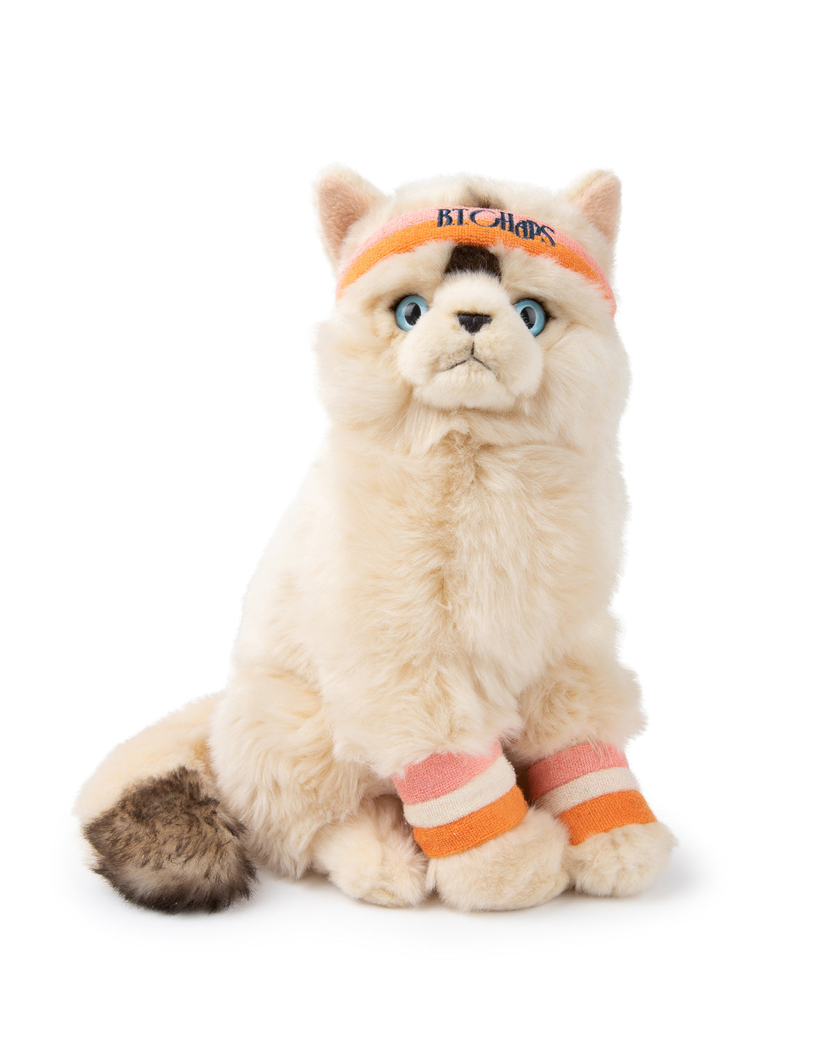 Bon Ton Toys Plush BT CHAPS Dolly The Ragdoll 12.5
