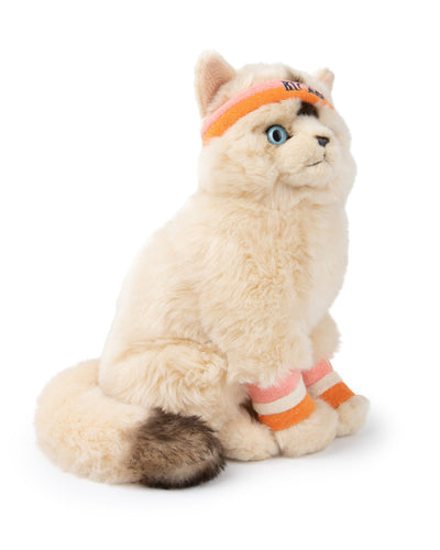 Plush BT CHAPS Dolly The Ragdoll 12.5"