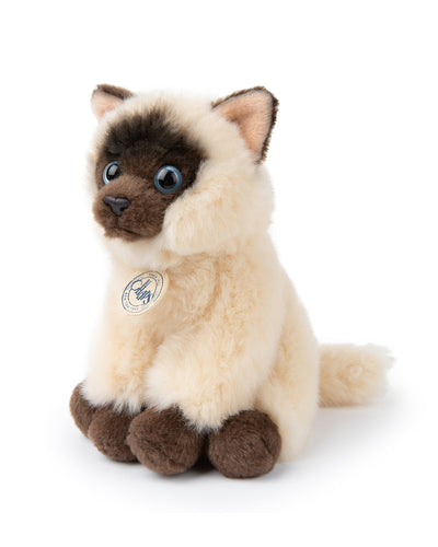 Plush BT CHAPS Eddie The Siamese in Giftbox 6.5"