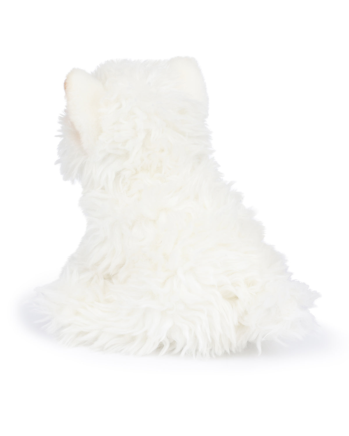 Plush BT CHAPS in Giftbox 6.5"