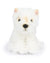 Plush BT CHAPS in Giftbox 6.5"