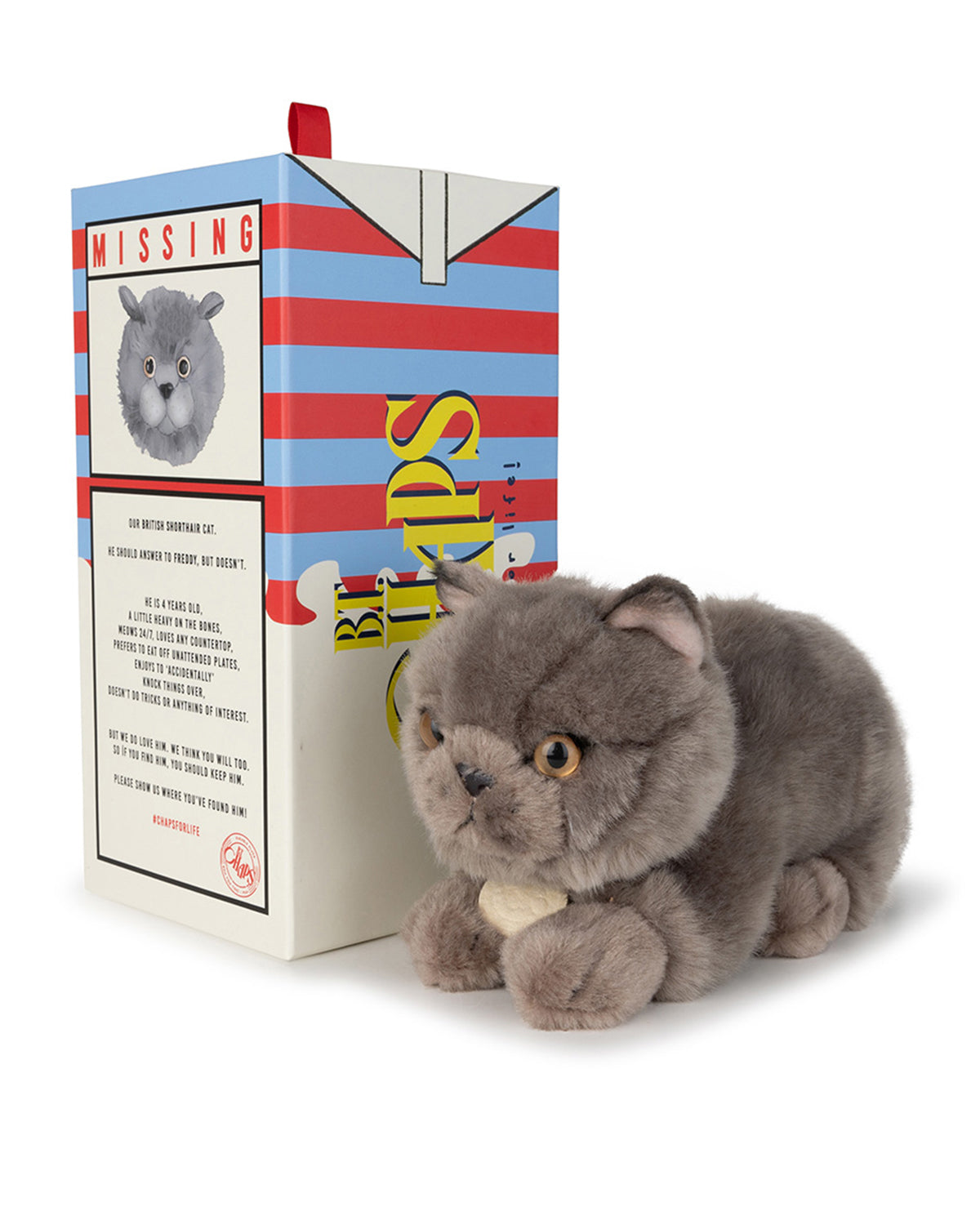 Plush BT CHAPS FREDDY THE BRITISH SHORTHAIR in Giftbox 8"
