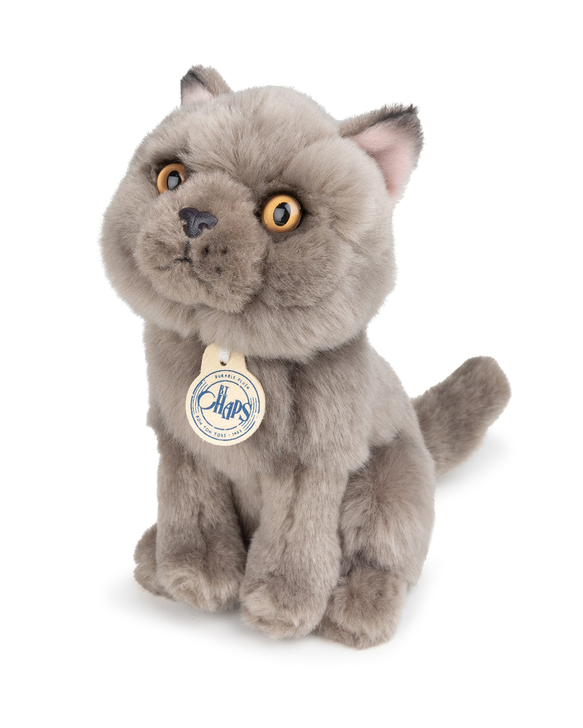 Plush BT Chaps Freddy the British Shorthair Floppy in Giftbox 6.5"