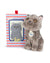 Plush BT Chaps Freddy the British Shorthair Floppy in Giftbox 6.5"