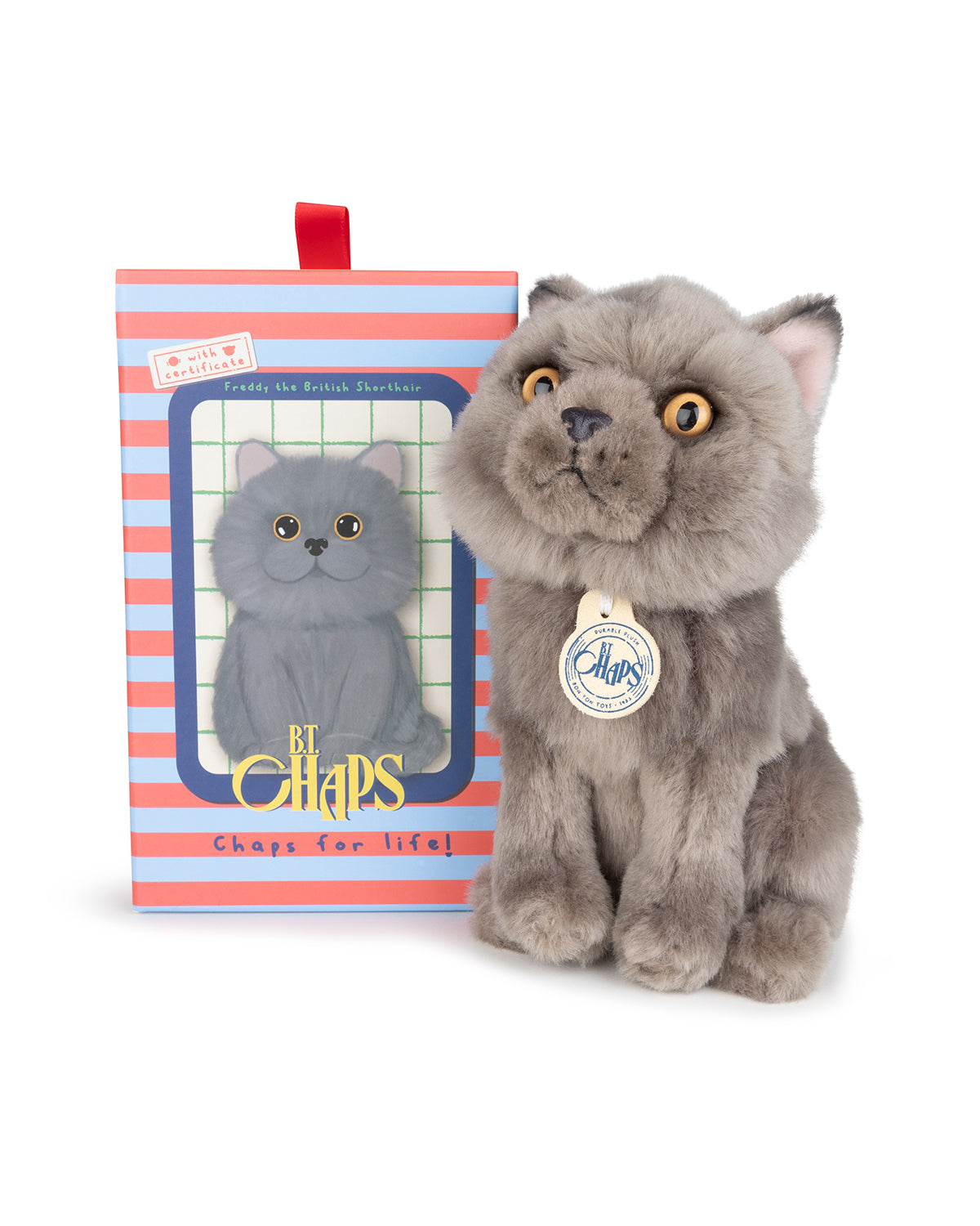 Plush BT Chaps Freddy the British Shorthair Floppy in Giftbox 6.5"