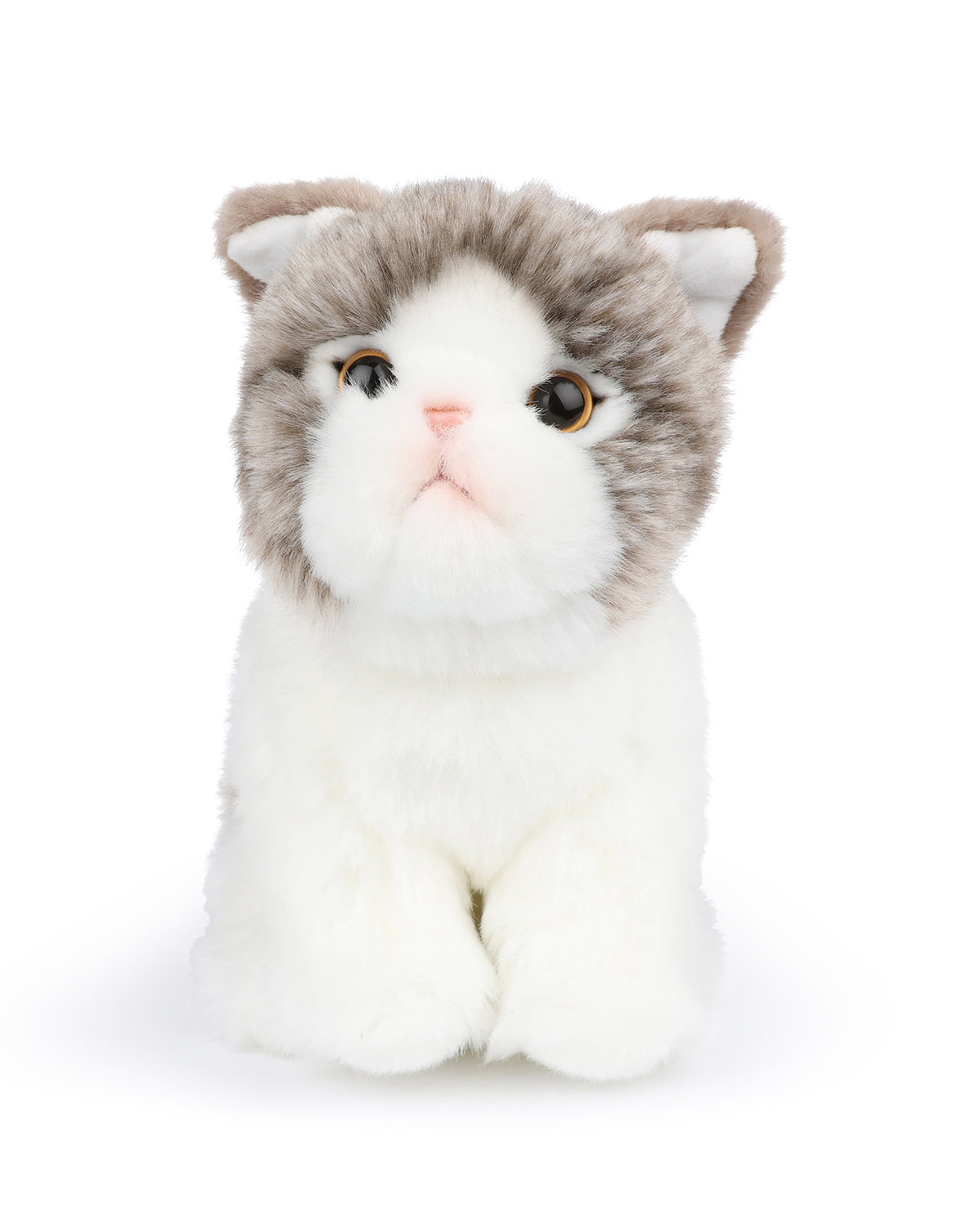 Bon Ton Toys Plush BT CHAPS in Giftbox 6.5