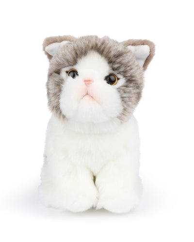 Plush BT CHAPS in Giftbox 6.5"