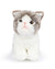 Plush BT CHAPS in Giftbox 6.5"