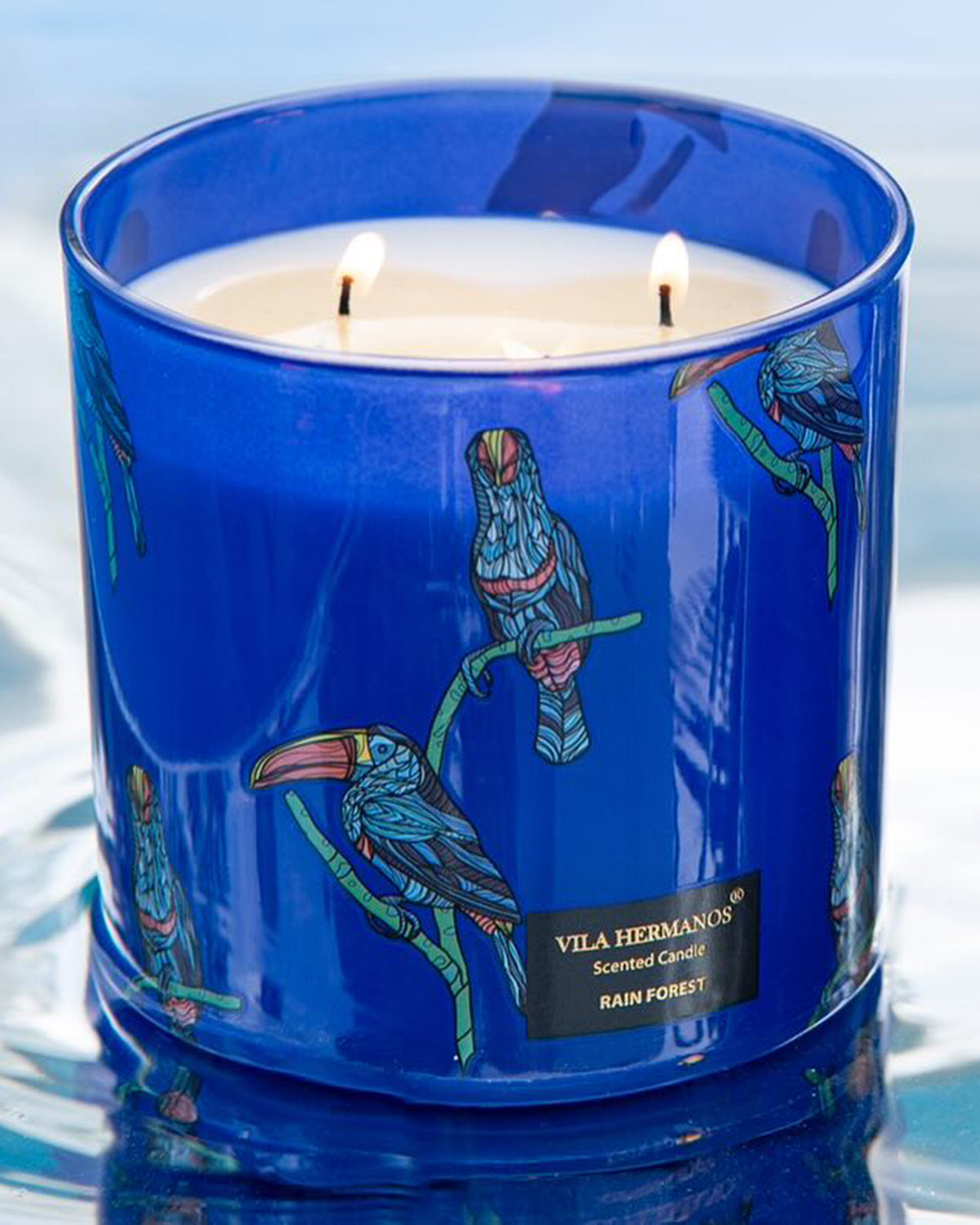 Candle in Jar JUNGLETOPIA TOUCAN RAIN FOREST 200gr 3.35 diam. x 4.13 in