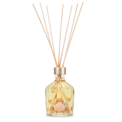 Aroma Reed Diffuser Ginger Orange & Fizzy Lime 250ml