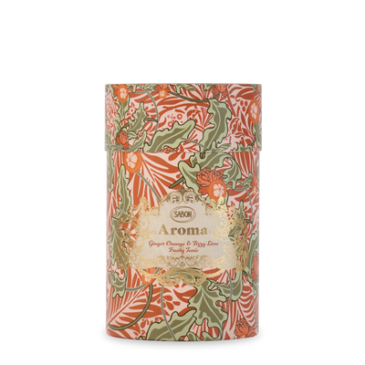 Aroma Reed Diffuser Ginger Orange & Fizzy Lime 250ml