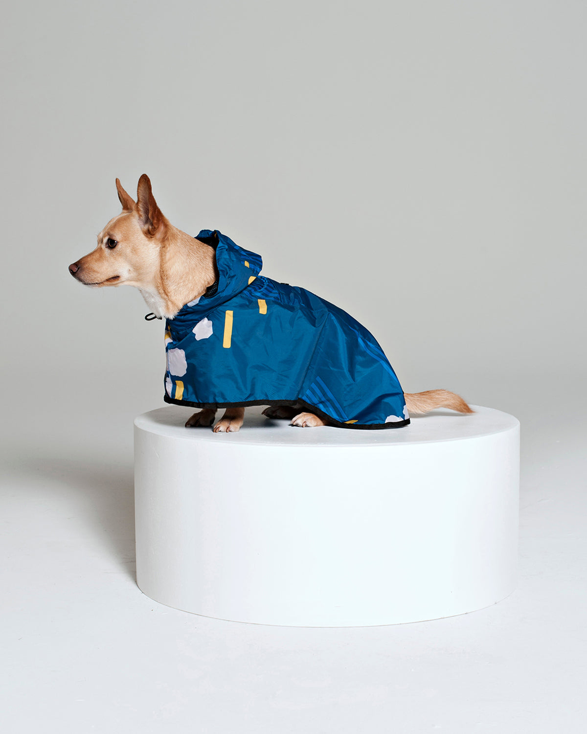 Dog Poncho Japanese Blossom