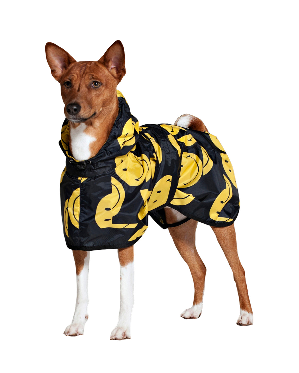 Dog Rain Poncho All Smiles x Smiley