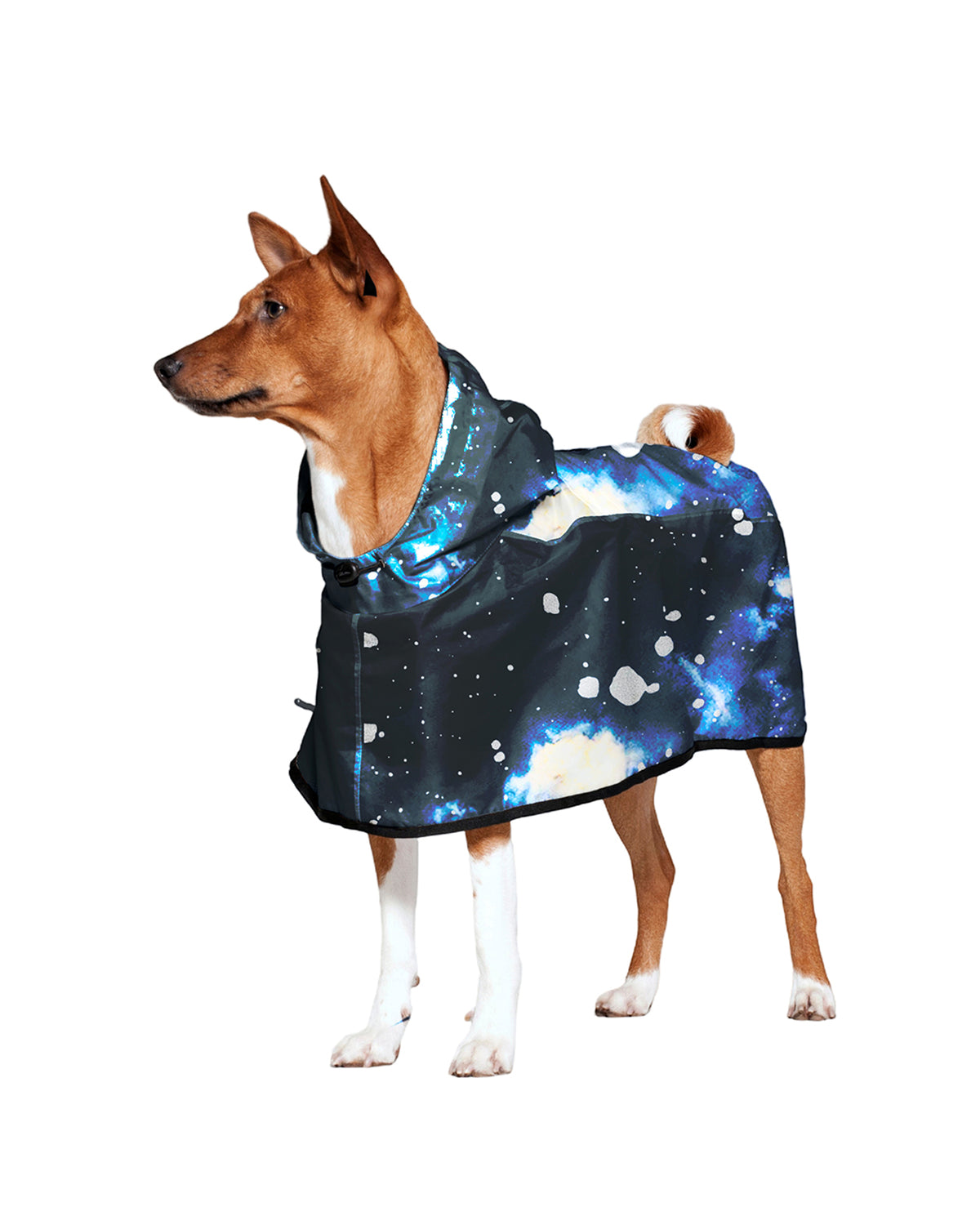 Dog Rain Poncho Starry Night