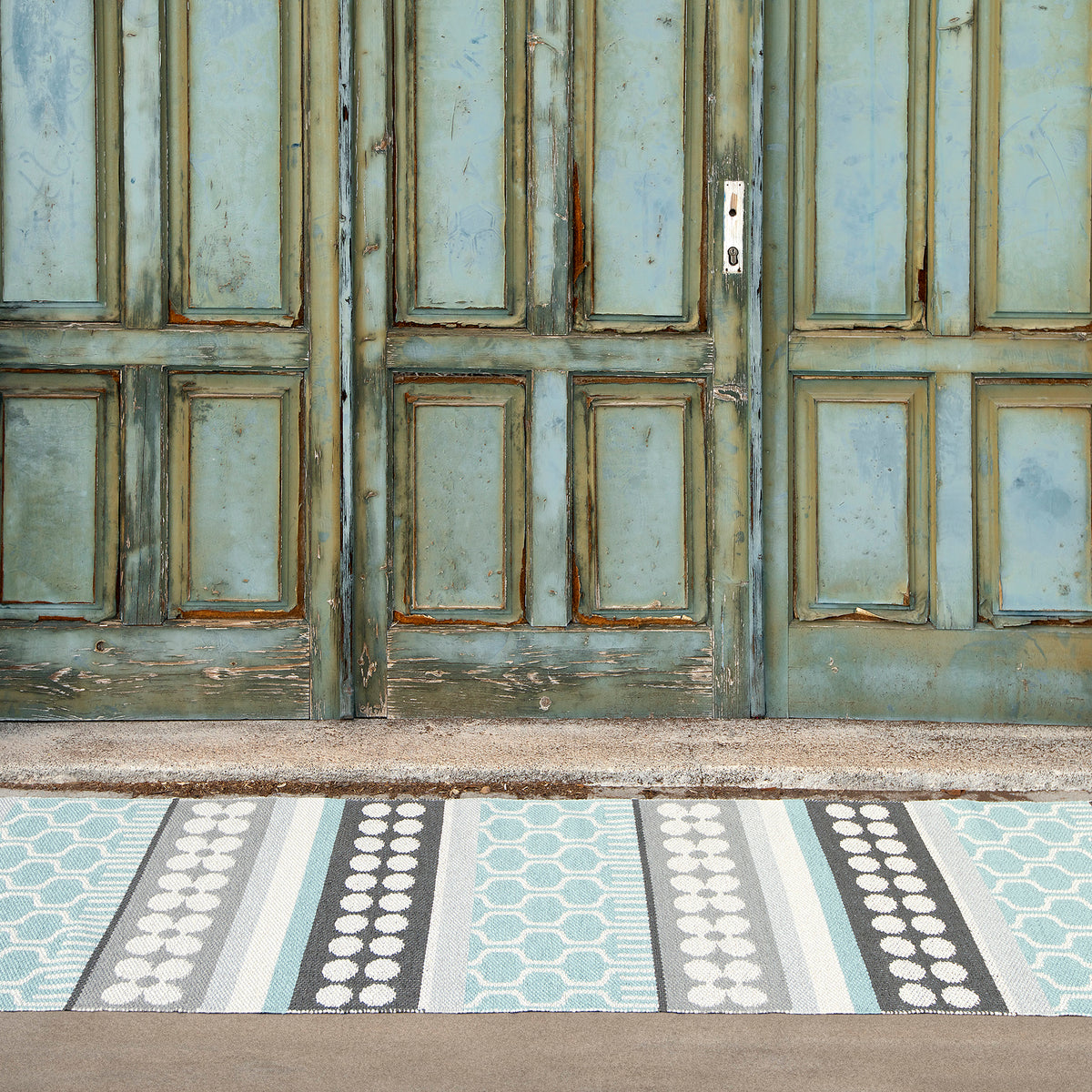 Pappelina x Bloomindales 1