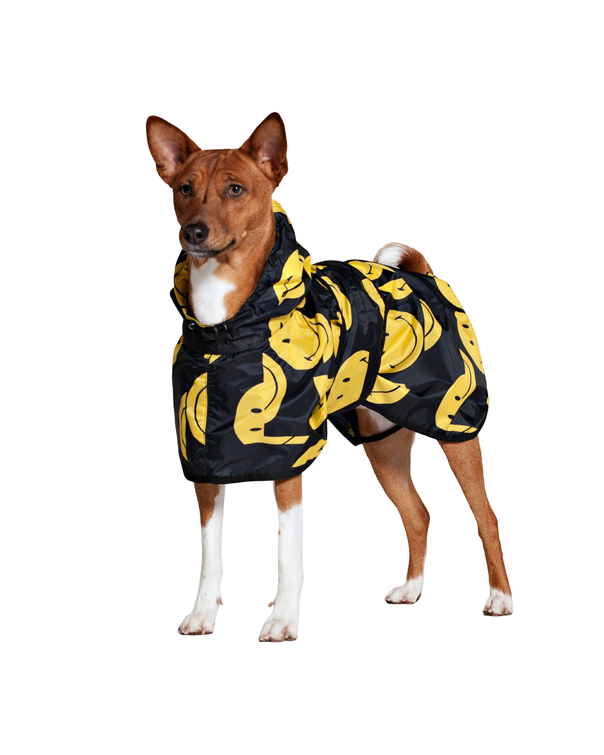 Dog Rain Poncho SMILEY