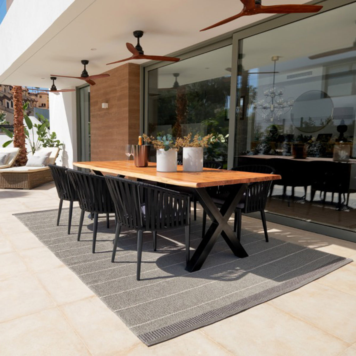 Pappelina x Bloomindales 1