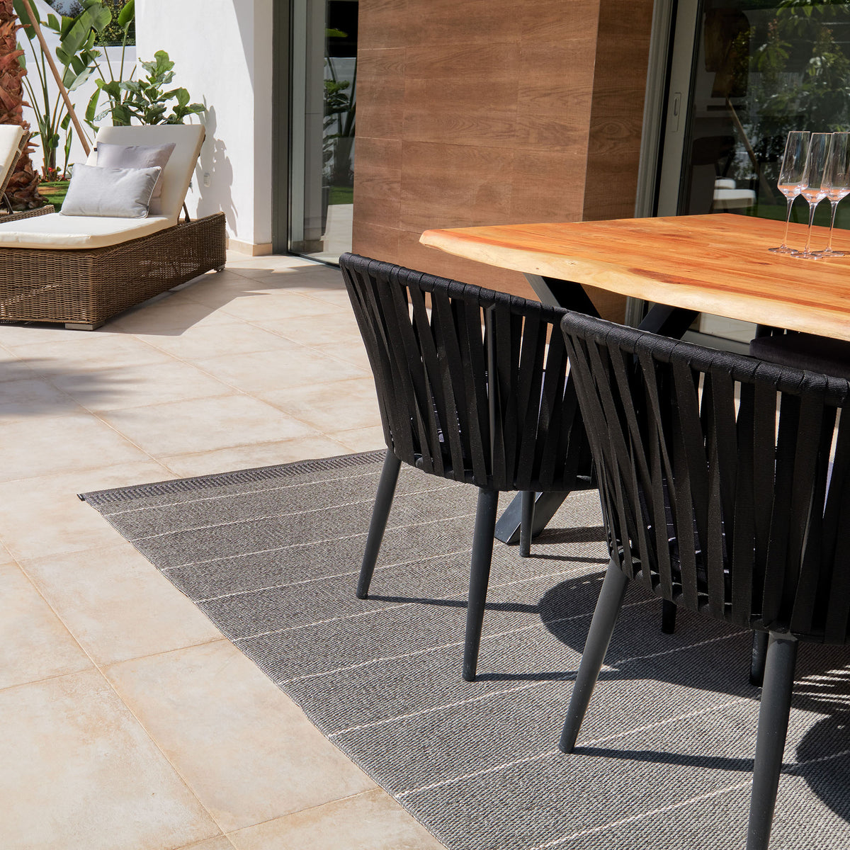 Pappelina x Bloomindales 1