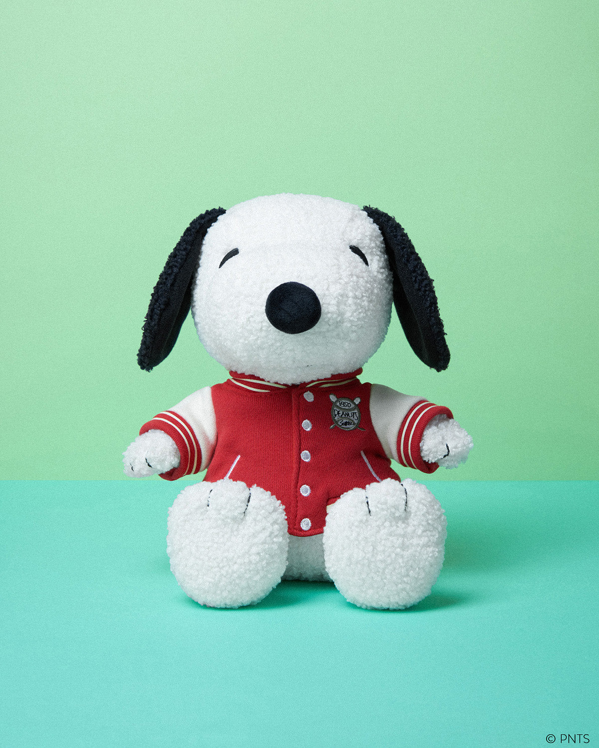 Plush PEANUTS SNOOPY Sitting with Varsity Jacket 10"