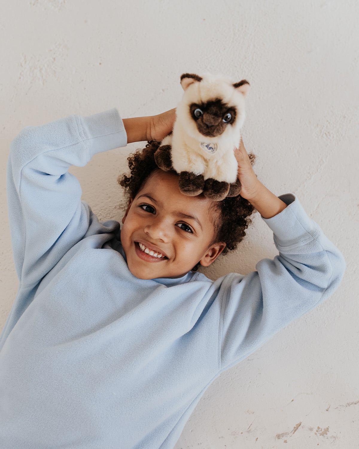 Plush BT CHAPS Eddie The Siamese in Giftbox 6.5"