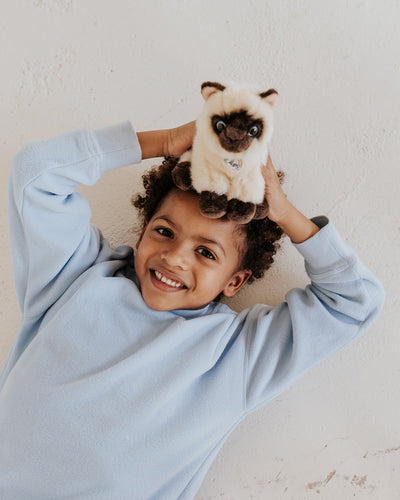 Plush BT CHAPS Eddie The Siamese in Giftbox 6.5"