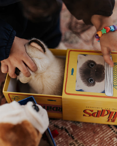 Plush BT CHAPS Eddie The Siamese in Giftbox 6.5"