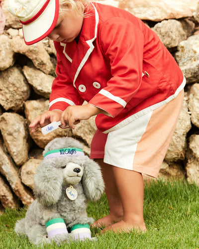 Plush BT CHAPS HYACINTH the Poodle 12.5"