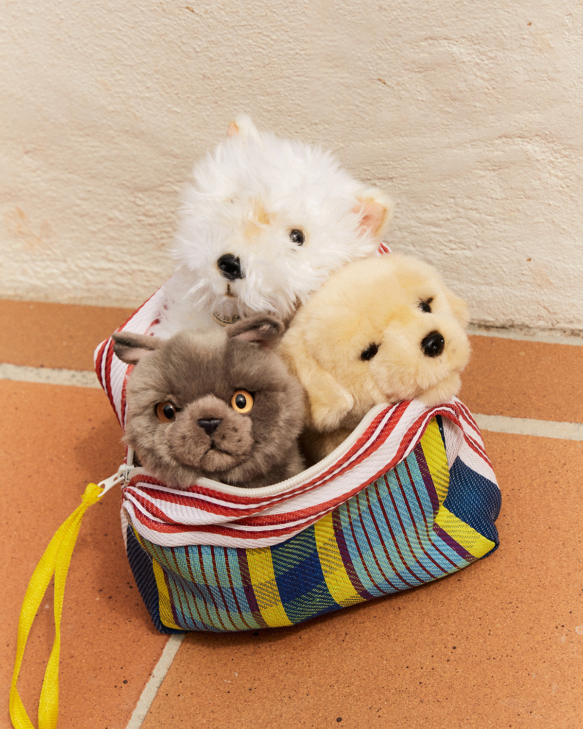 Plush BT CHAPS Freddy the British Shorthair in giftbox ECO 7"