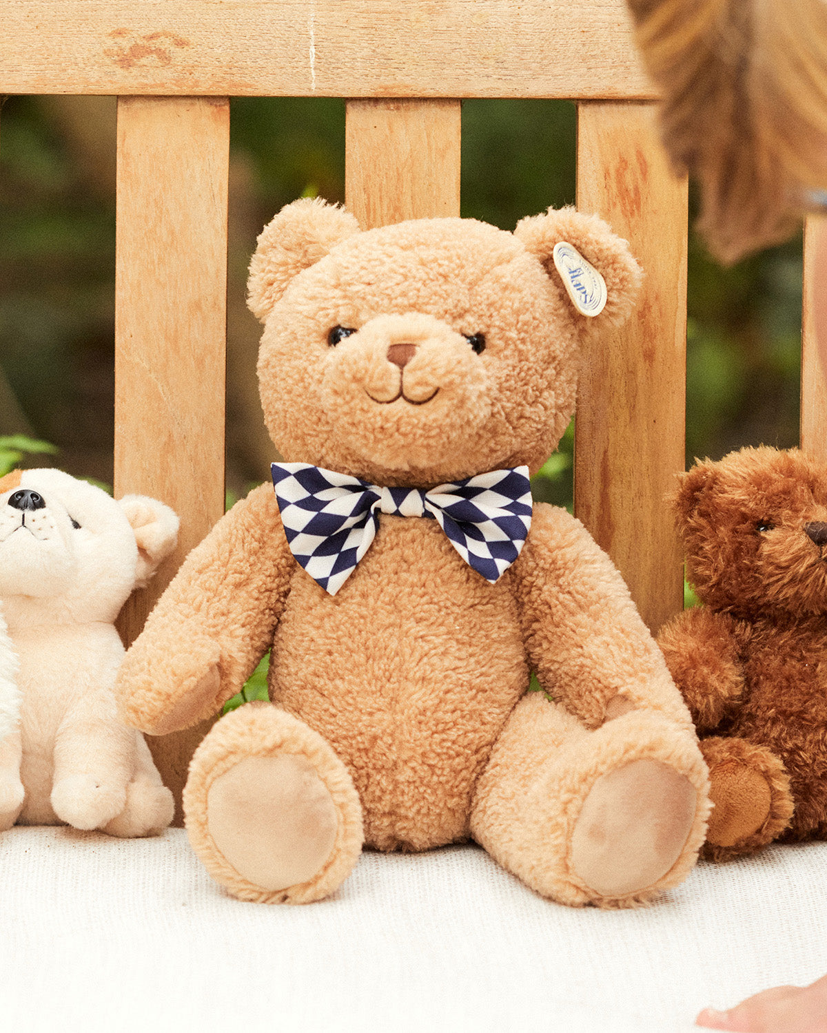 Plush BT CHAPS Norman The Snazzie Bear 12.5"