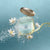 Next Generation Body Scrub Delicate Jasmine 320g