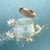 Next Generation Body Scrub Delicate Jasmine 600g