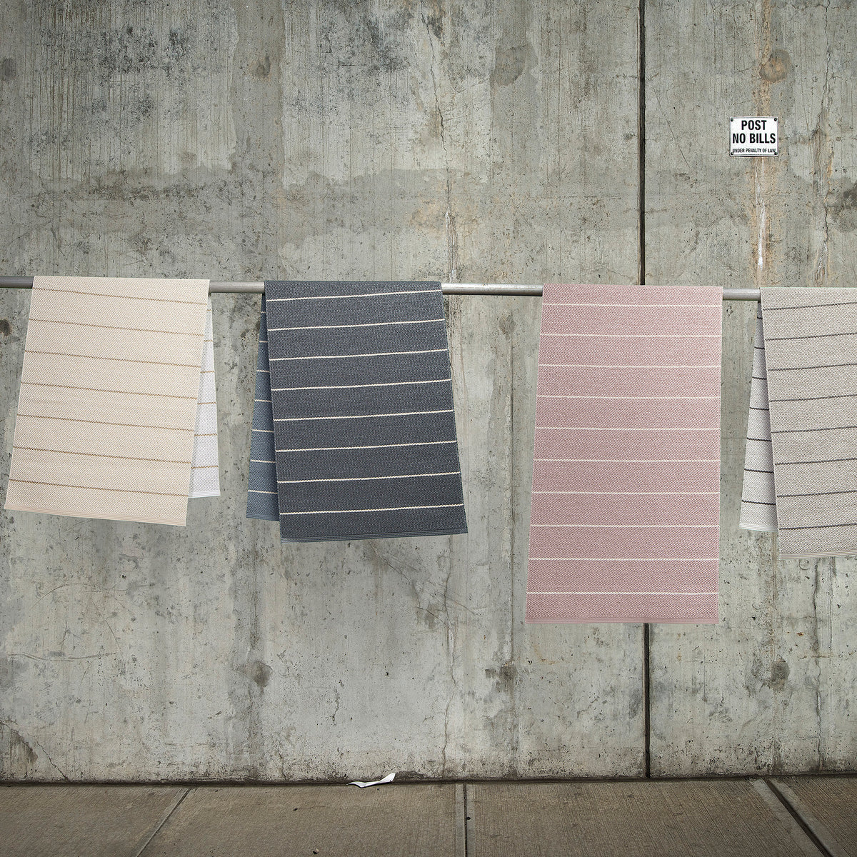 Pappelina x Bloomindales 1