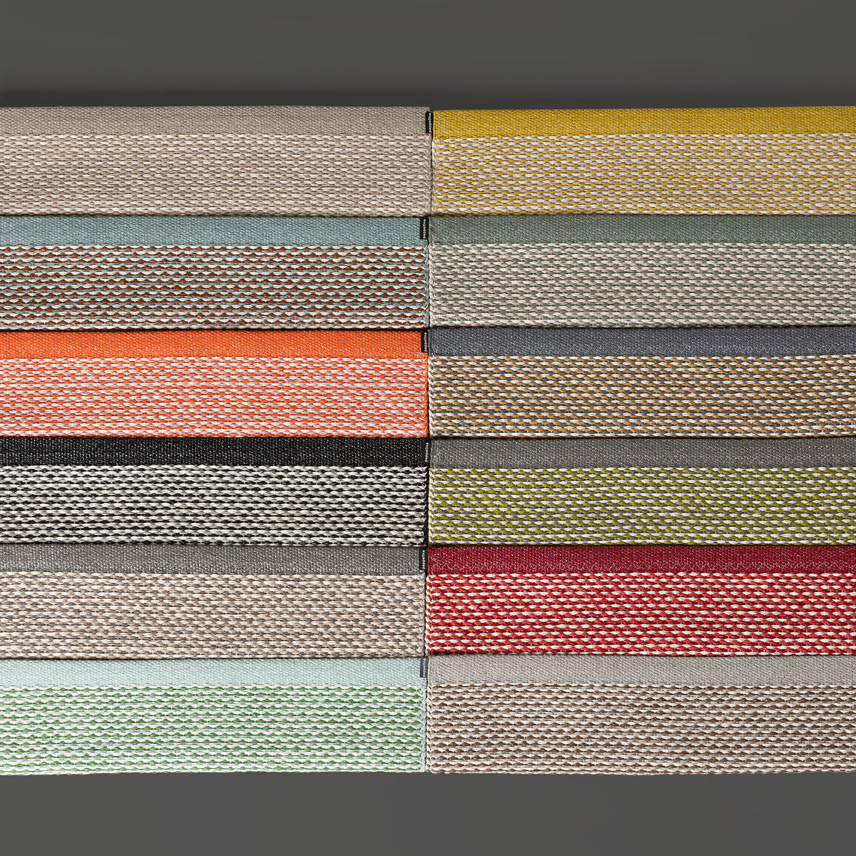 Pappelina x Bloomindales 3