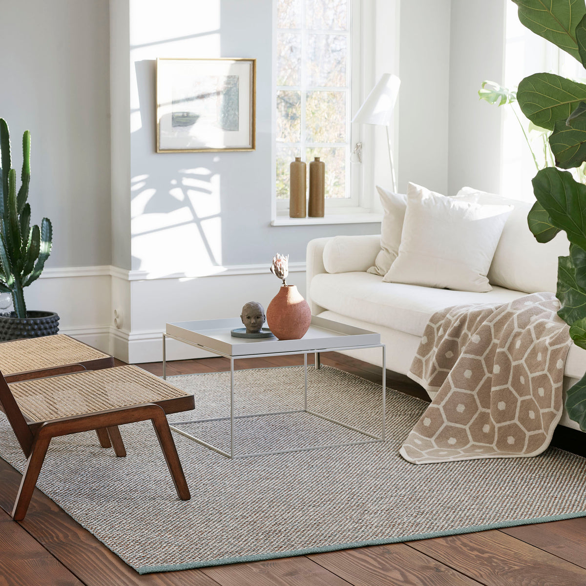 Pappelina x Bloomindales 1