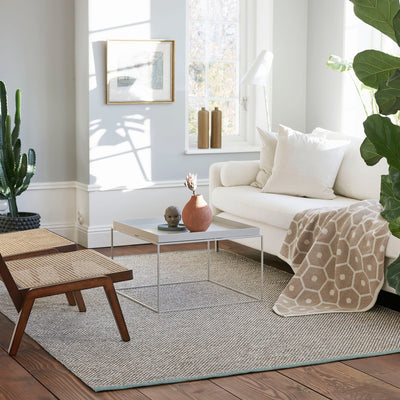 Pappelina x Bloomindales 1