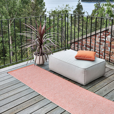 Pappelina x Bloomindales 3