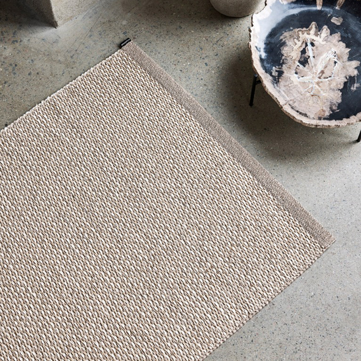 Pappelina x Bloomindales 1