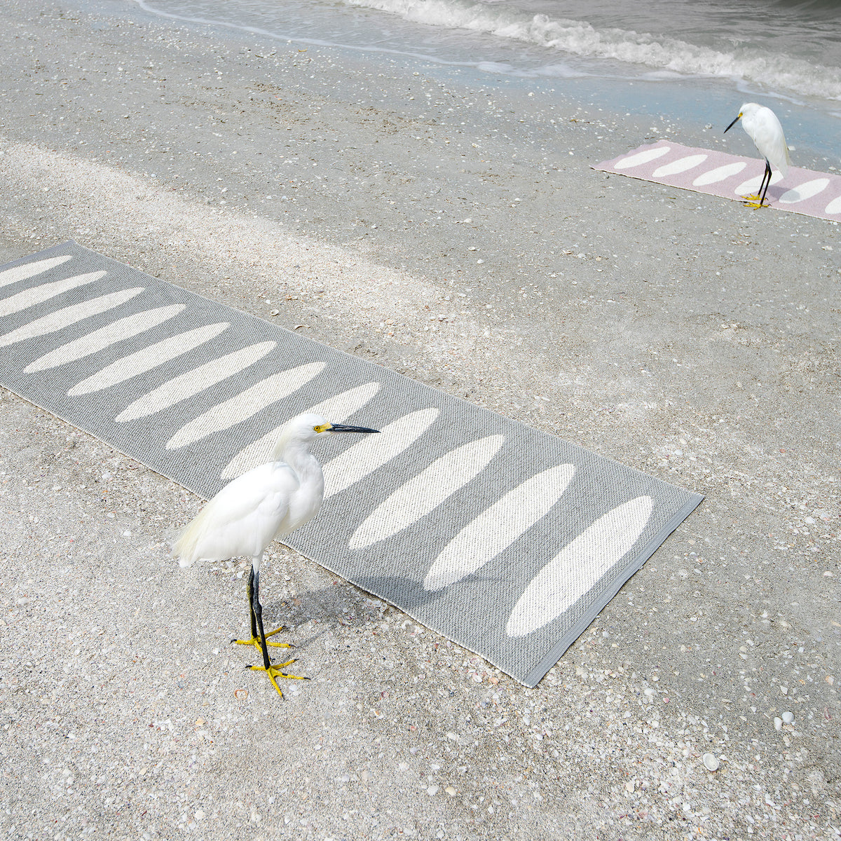 Pappelina x Bloomindales 3