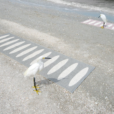 Pappelina x Bloomindales 3